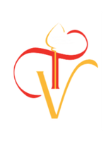 Veltax Consulting Logo